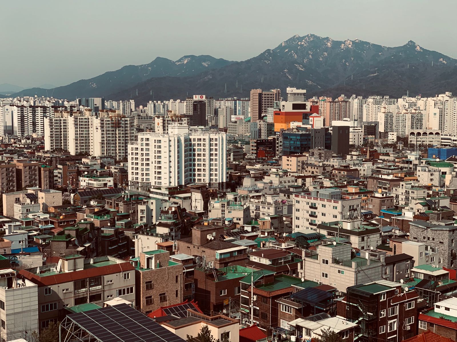 승모근마사지 1